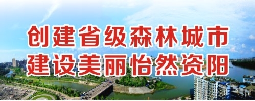 黄色视频在线看大鸡巴创建省级森林城市 建设美丽怡然资阳